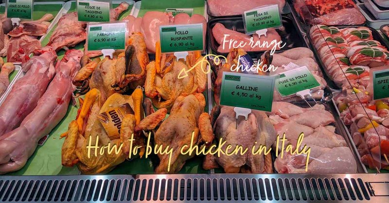 Scopri chicken road italia