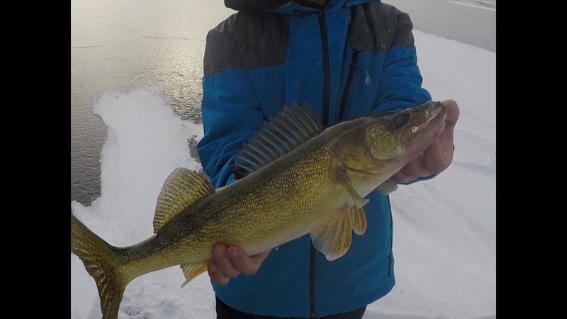 United Kigdom - ice fishing